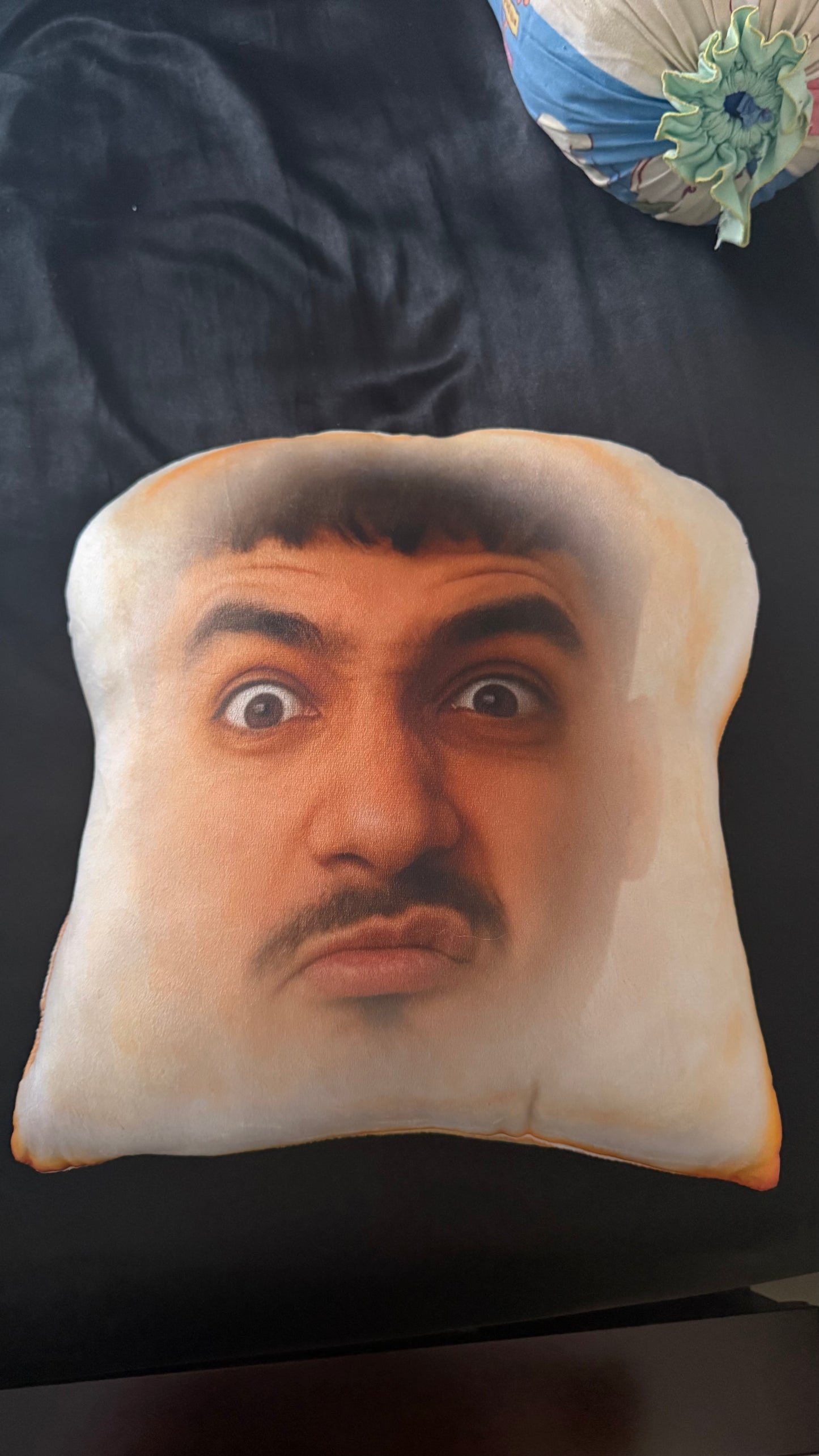 Custom Toast Face Plush